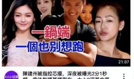 台媒爆料陈建州视频全集,事件全貌曝光