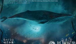 海洋之歌电影在线观看,探寻深海秘境的奇幻之旅